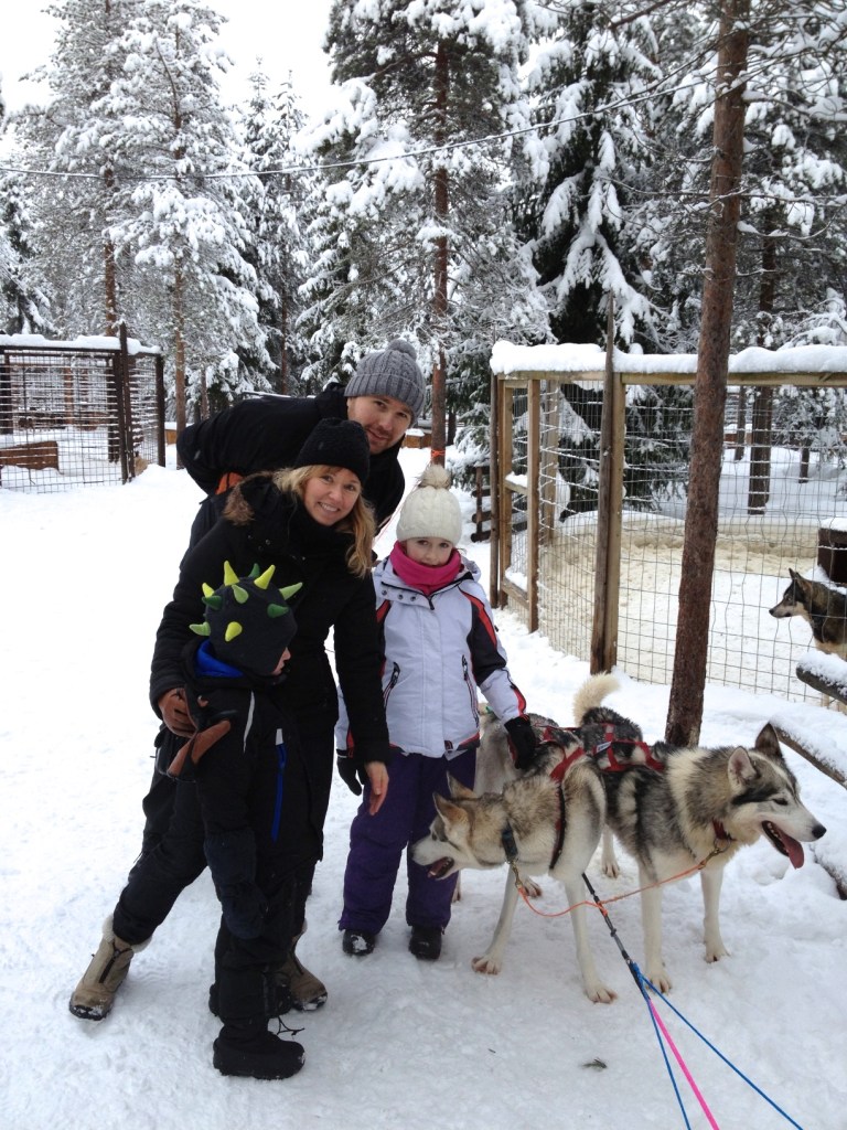 Zaprzęg psów Husky