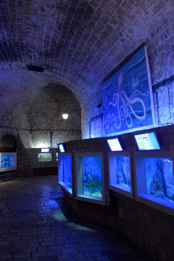 Akwarium w Dubrovniku.