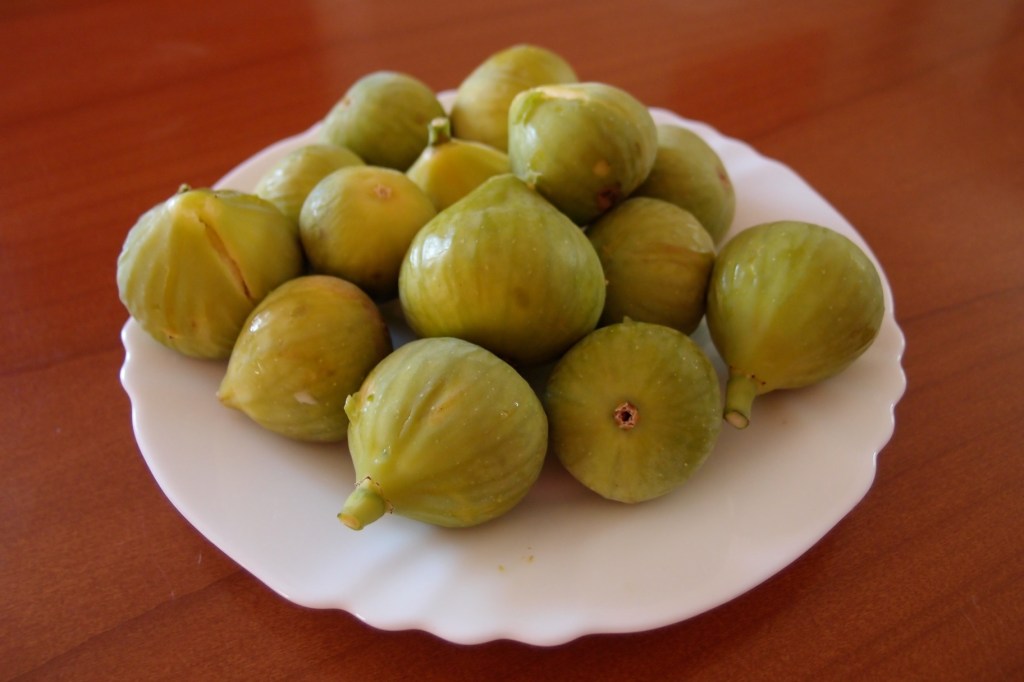 Figi prosto z drzewa