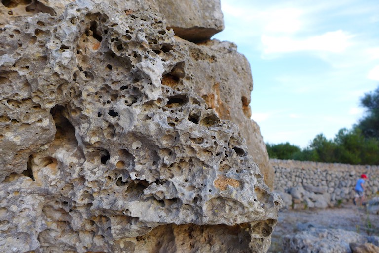 p1020128-2016-06-25-at-20-39-20