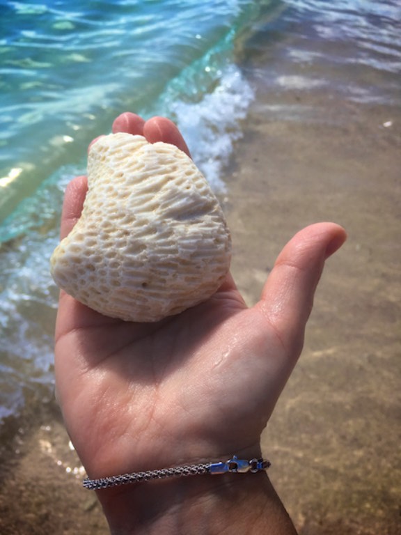 img_0484-2016-12-17-at-11-54-19-2016-12-17-at-18-54-19