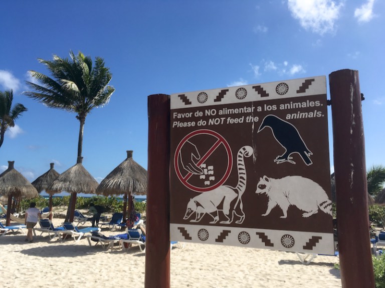 img_0493-2016-12-17-at-12-10-27-2016-12-17-at-19-10-27