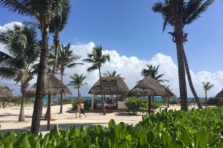 img_0583-2016-12-18-at-13-15-34-2016-12-18-at-20-15-34