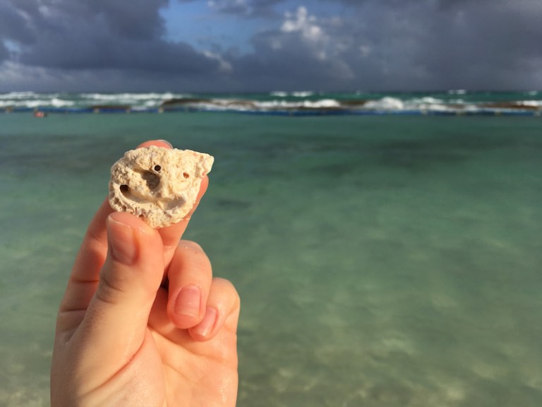 img_0683-2016-12-18-at-16-41-35-2016-12-18-at-23-41-35