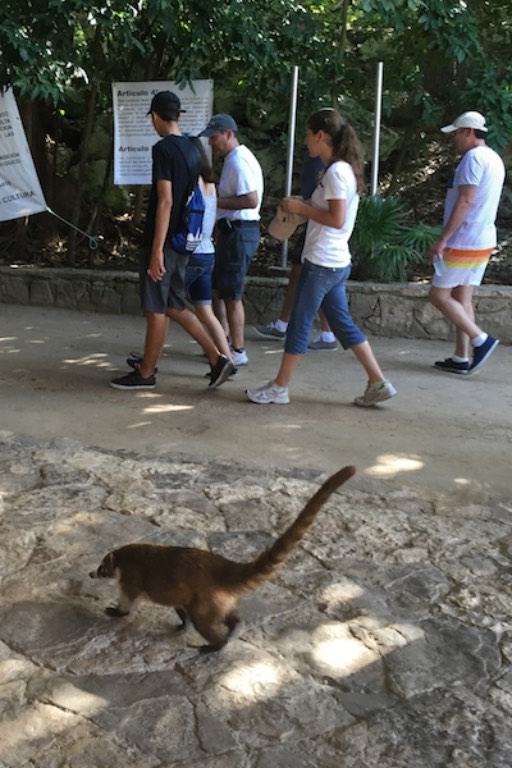 img_0723-2016-12-19-at-10-31-32-2016-12-19-at-17-31-32