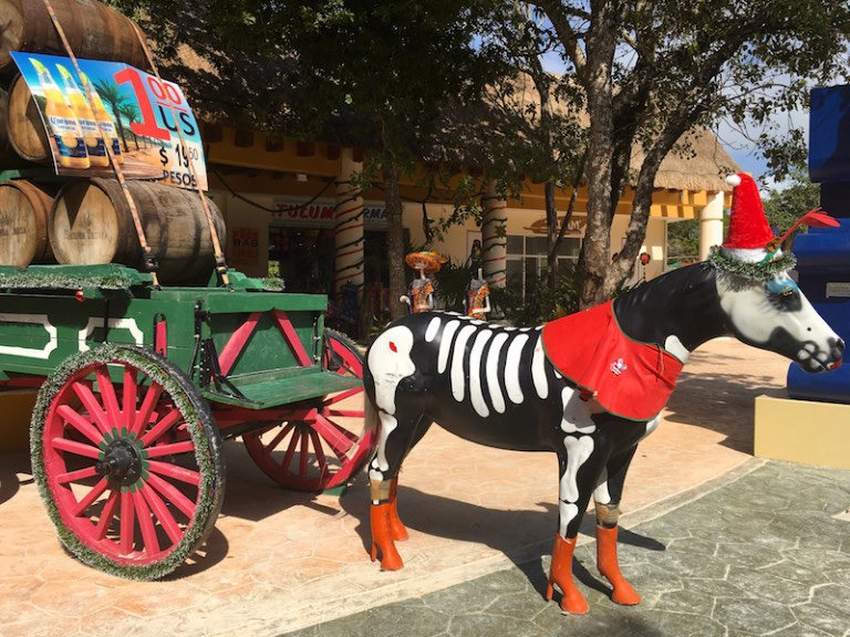 img_0753-2016-12-19-at-11-37-27-2016-12-19-at-18-37-27