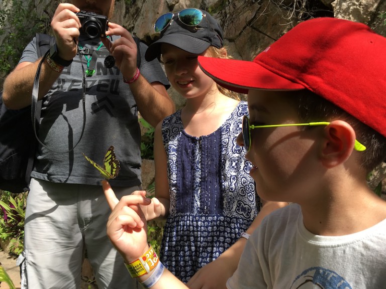 img_1032-2016-12-20-at-12-58-51-2016-12-20-at-19-58-51