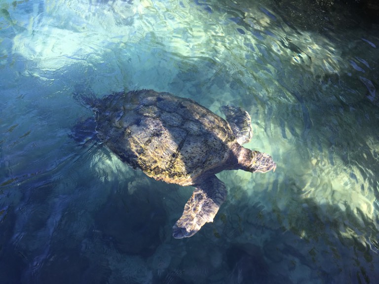 img_1135-2016-12-20-at-14-44-43-2016-12-20-at-21-44-43