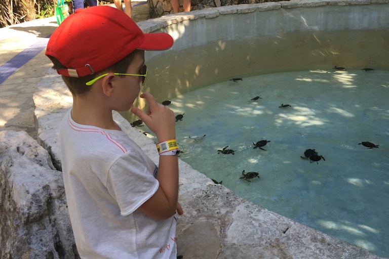 img_1164-2016-12-20-at-14-50-46-2016-12-20-at-21-50-46