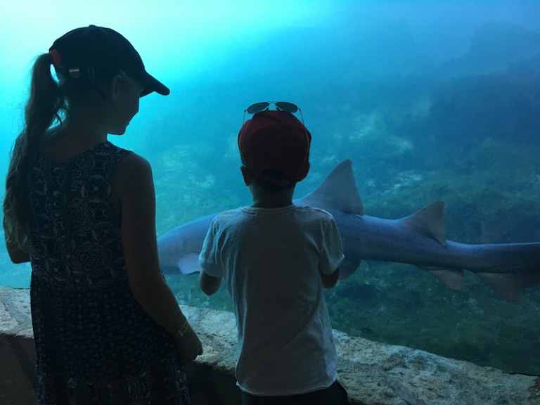 img_1171-2016-12-20-at-15-00-51-2016-12-20-at-22-00-51