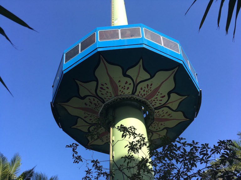 img_1237-2016-12-20-at-16-04-35-2016-12-20-at-23-04-35