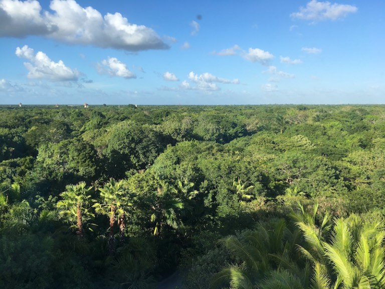 img_1248-2016-12-20-at-16-25-09-2016-12-20-at-23-25-09