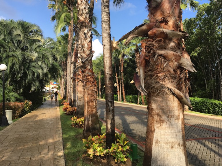 img_1334-2016-12-21-at-09-48-18-2016-12-21-at-16-48-18