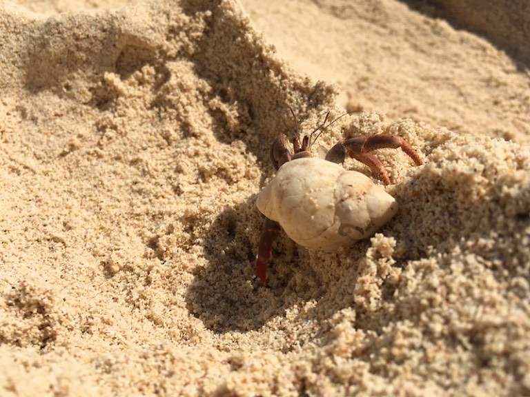 img_1426-2016-12-21-at-11-53-46-2016-12-21-at-18-53-46