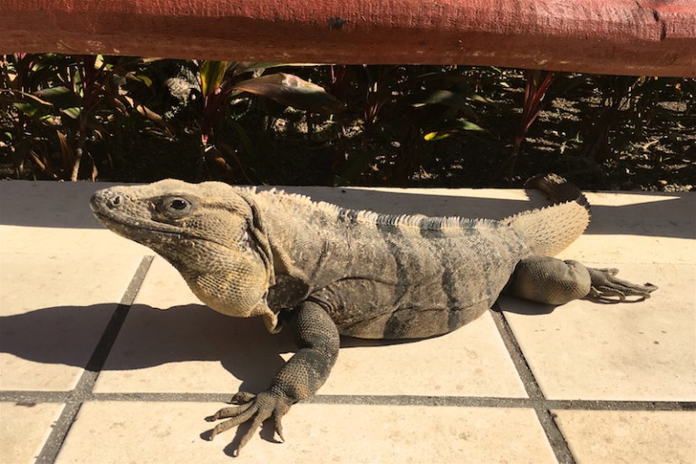 img_1456-2016-12-21-at-14-46-44-2016-12-21-at-21-46-44