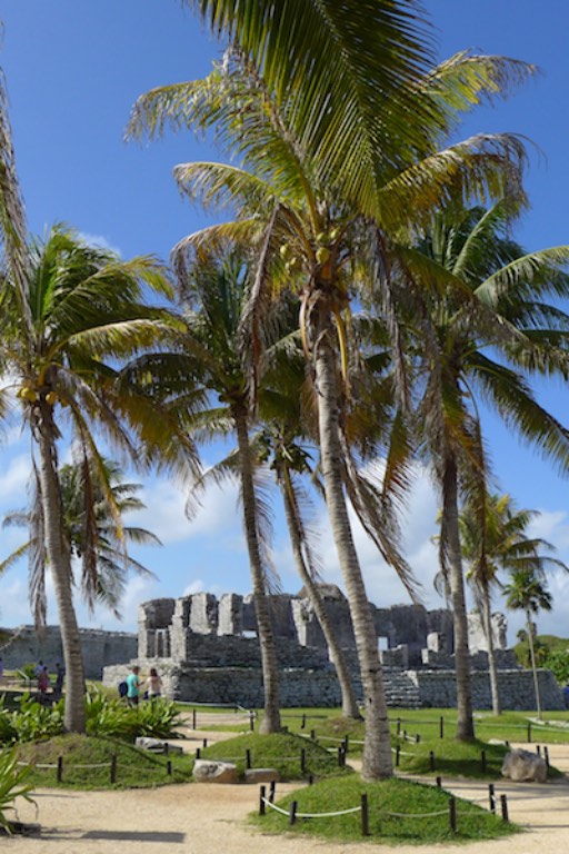 p1020268-2016-12-19-at-09-41-52-2016-12-19-at-16-41-52