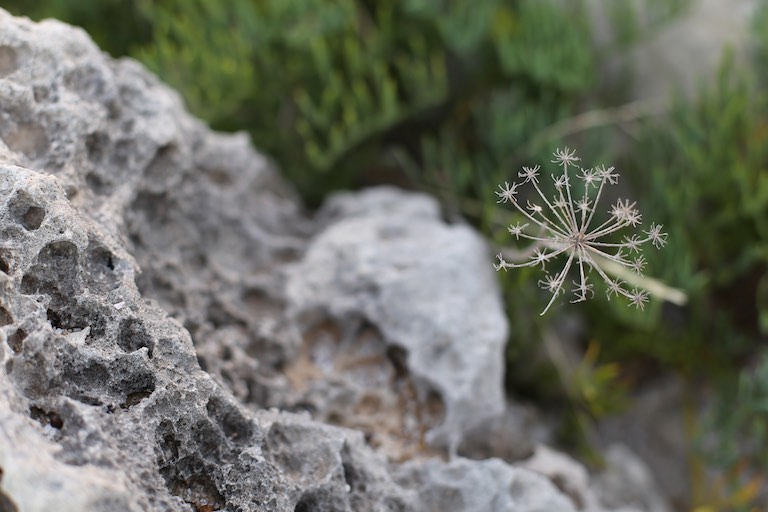 img_6586-2016-06-23-at-20-05-21