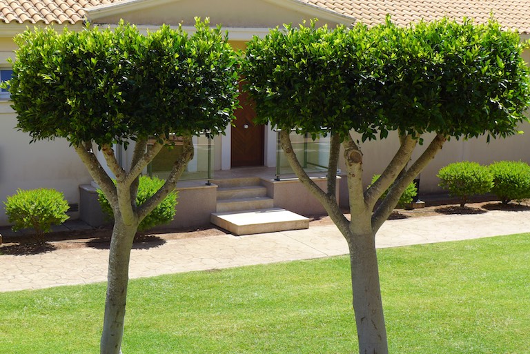 p1010973-2016-06-23-at-15-07-14