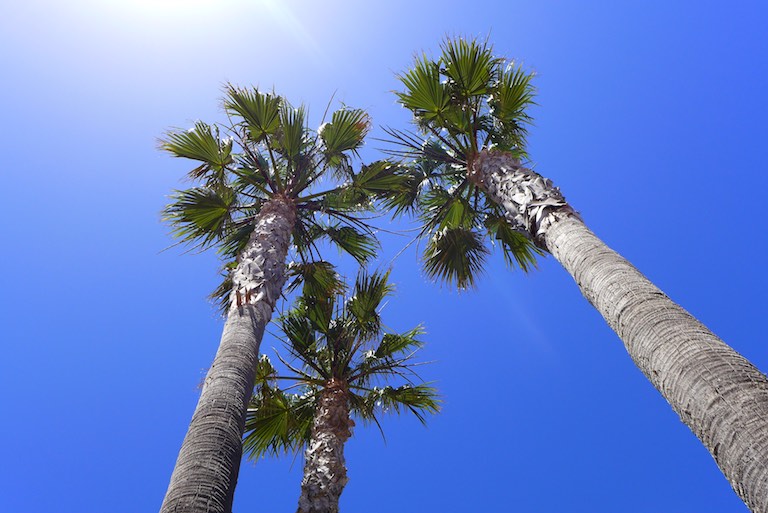 p1010982-2016-06-23-at-15-09-23