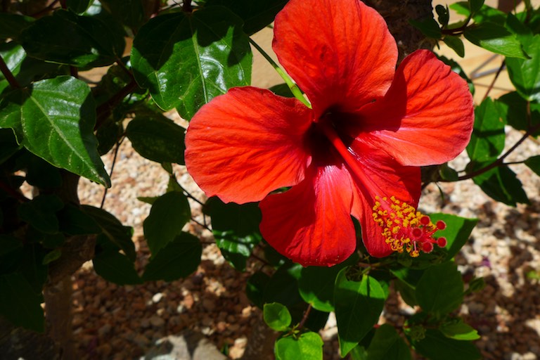 p1010983-2016-06-23-at-15-09-37